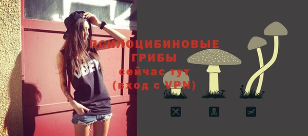 амф Алзамай