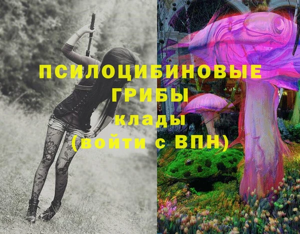 кокаин премиум Алексин