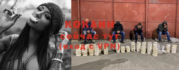 индика Нягань
