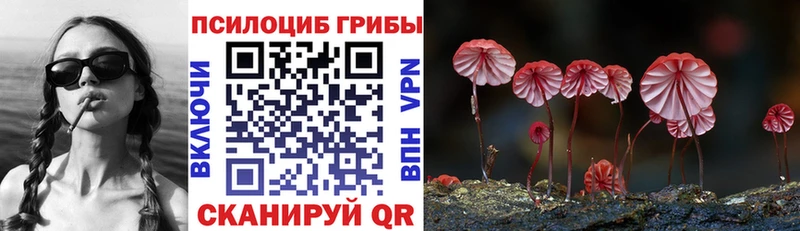 МЕГА зеркало  где купить наркоту  Хвалынск  Галлюциногенные грибы прущие грибы 